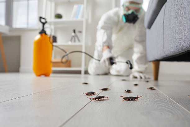 Trusted Bed Bug Control service in South Creek, WA - Nex Pest Control
