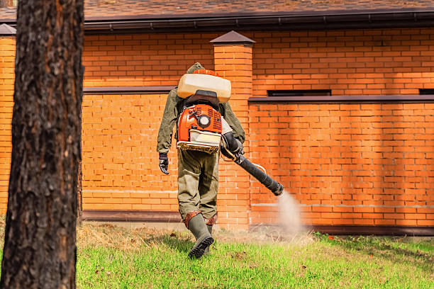 Trusted Rodent Control service in South Creek, WA - Nex Pest Control
